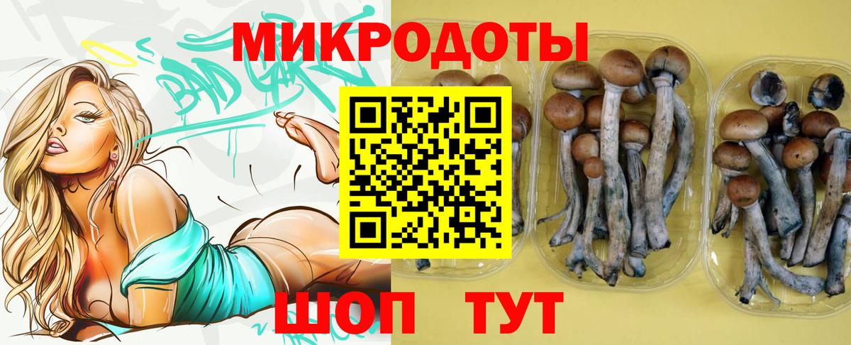 Галлюциногенные грибы Psilocybine cubensis  Вход с VPN  Псилоцибиновые грибы мухоморы  Лобня 